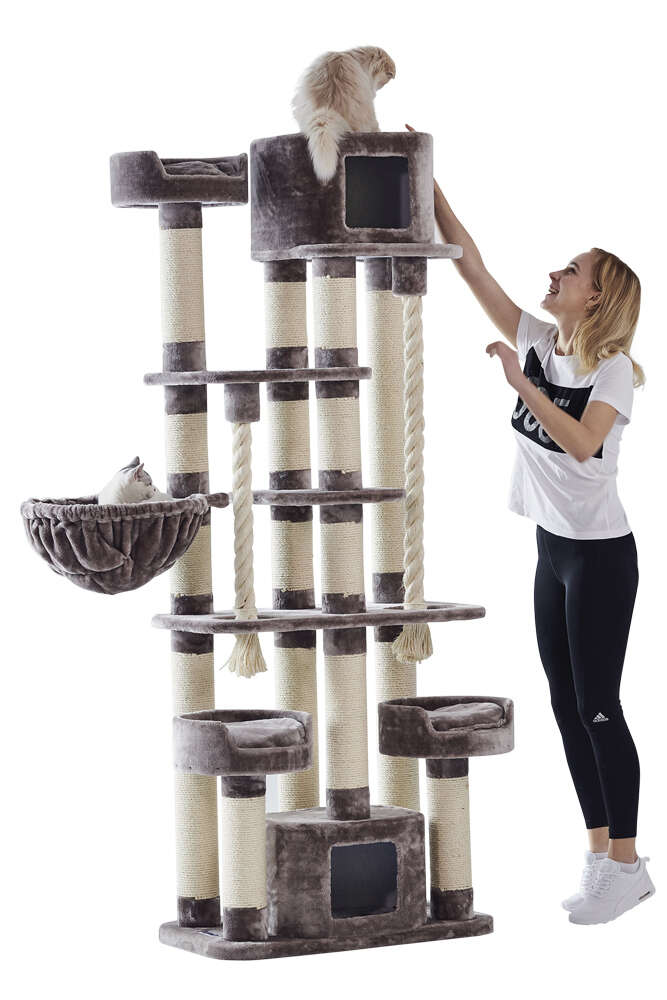 Nobby Kratzbaum Kyla